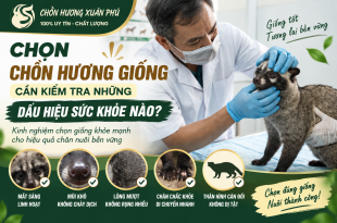 chon-chon-huong-giong-can-kiem-tra-nhung-dau-hieu-suc-khoe-nao