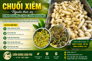 chuoi-xiem-nguon-thuc-an-dinh-duong-giup-chon-huong-phat-trien-khoe-manh