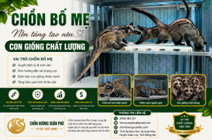 tam-quan-trong-cua-chon-bo-me-trong-chan-nuoi-chon-huong-sinh-san